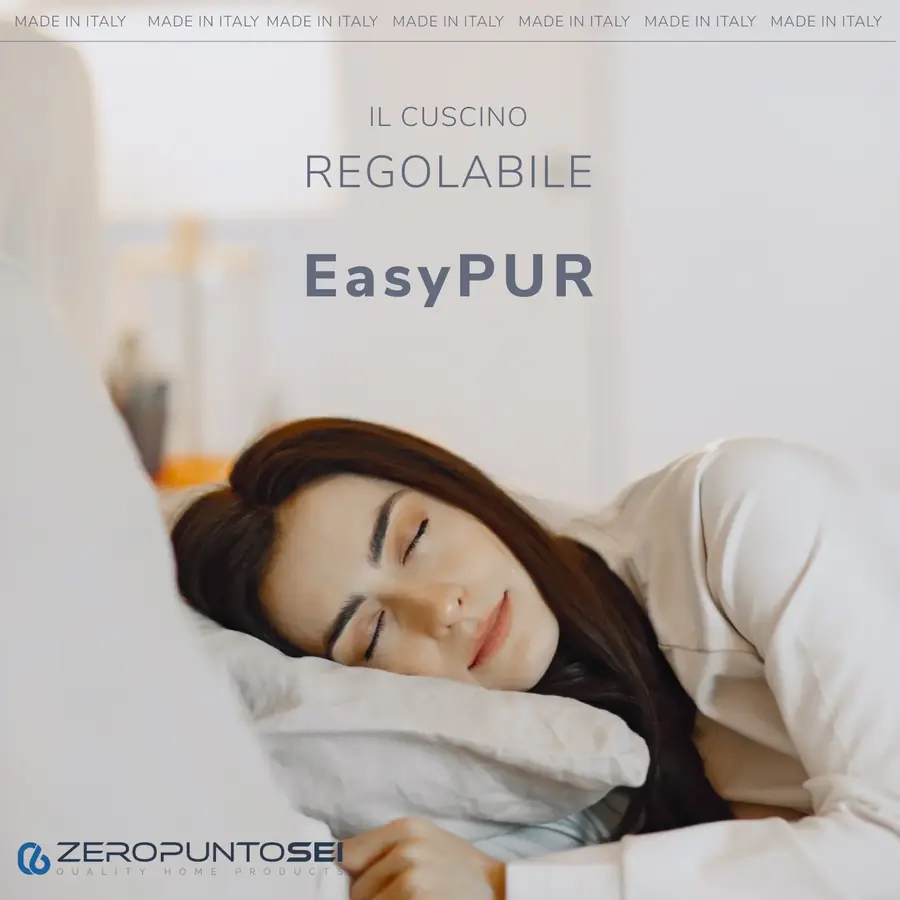 Easypur: vista e specifica 1